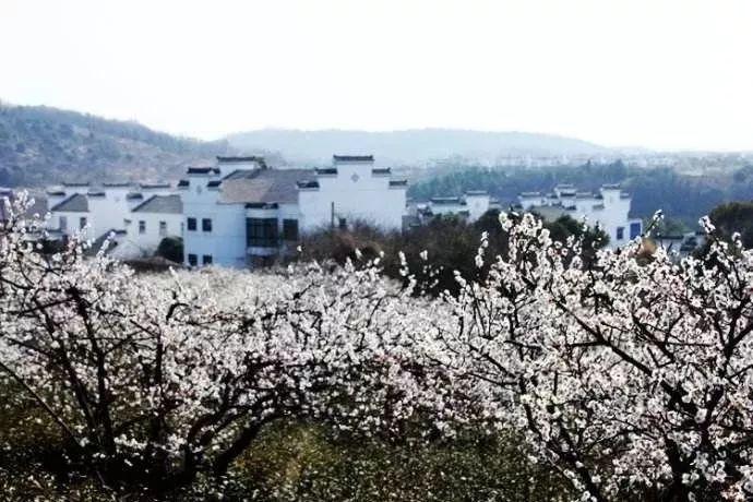 归家异途